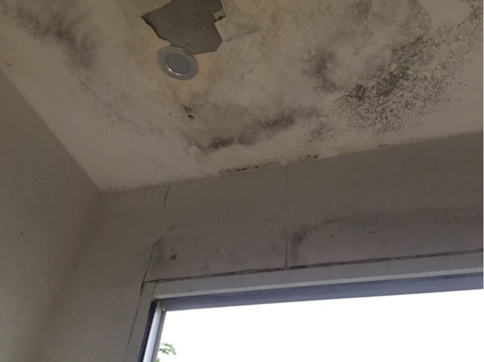 Chống thấm trần nhà bê tông – Bảo vệ ngôi nhà vững với thời gian